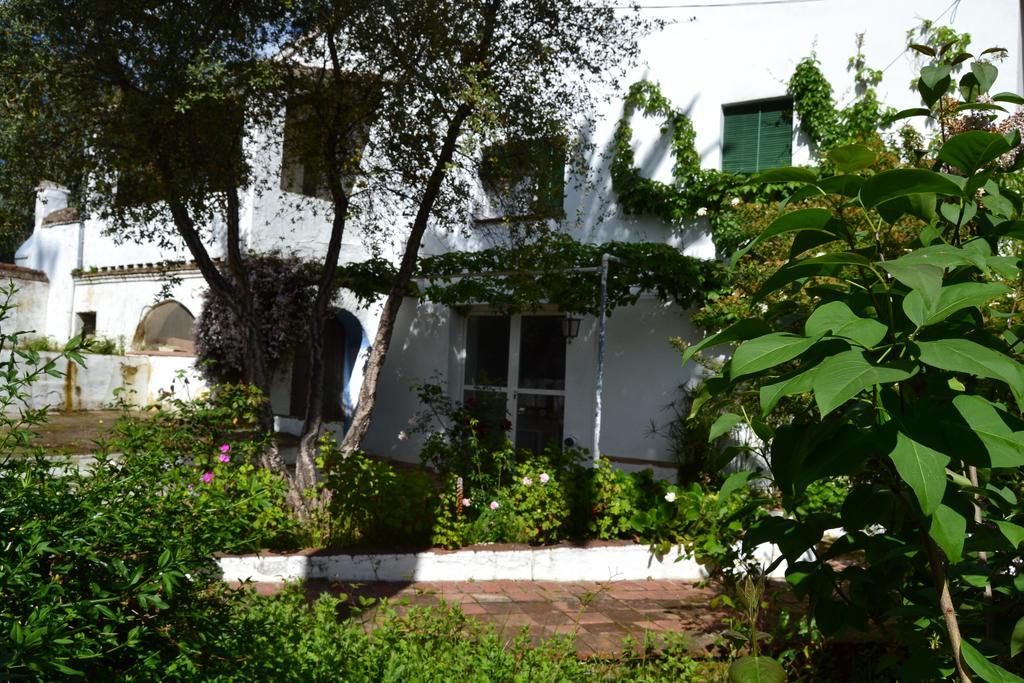 Three-Bedroom Apartment,216881030:JPEG